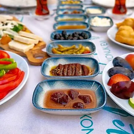 Tetka فندق